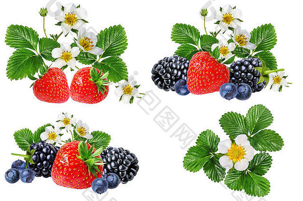 草莓黑莓越桔蓝莓孤立的白色背景
