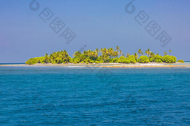 热带岛海滩棕榈树蓝色的海宁静的自然概念异国情调的海滩风景