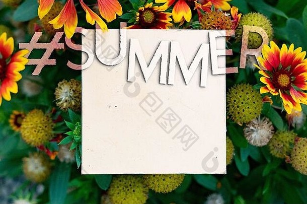 标签夏天词文本树叶花背景白色广场框架