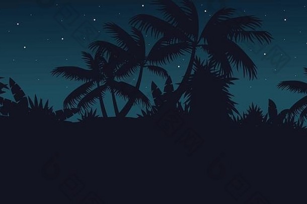 丛林棕榈树晚上风景