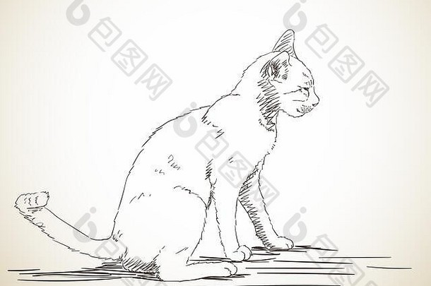 草图猫坐着配置文件手画插图