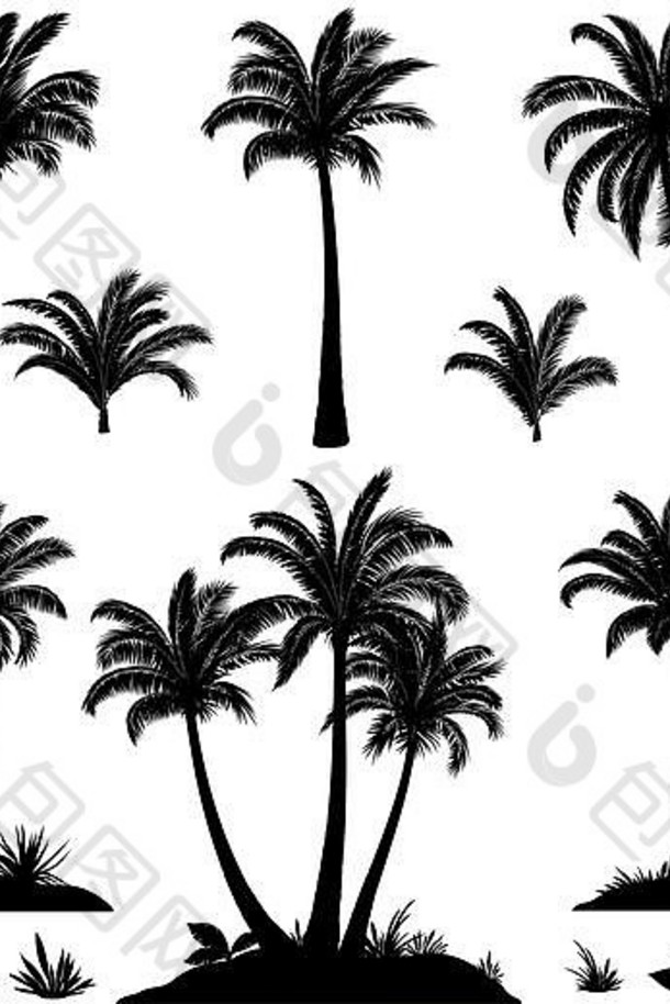 棕榈树植物轮廓