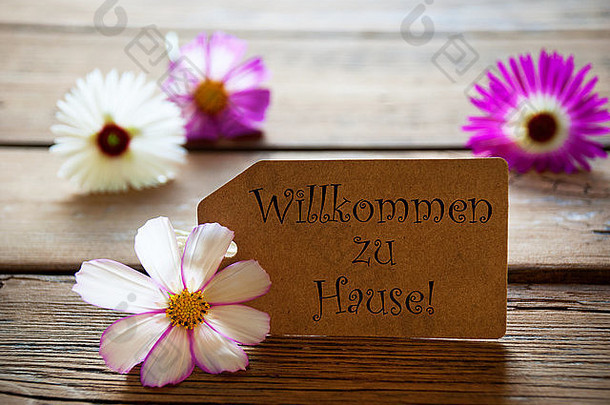 棕色（的）标签德国文本欢迎回家紫色的白色cosmea花朵木背景古董复古的休息