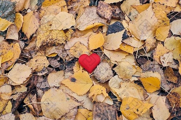 心秋天路径无回报的片面的爱孤独概念象征无回报的爱受害者情人节一天美丽的秋天引入