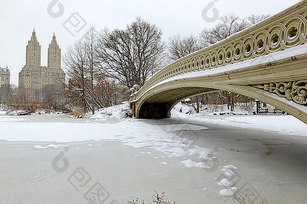 弓桥暴风雪中央公园曼哈顿纽约城市