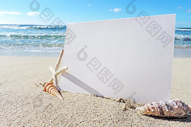 空白白色卡问候卡海滩复制空间夏天假期海滩假期场景贝壳海星假期