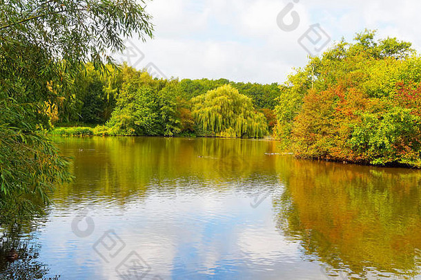 平水小湖树灌木开始穿秋天颜色弱晚些时候夏天天空反映了水