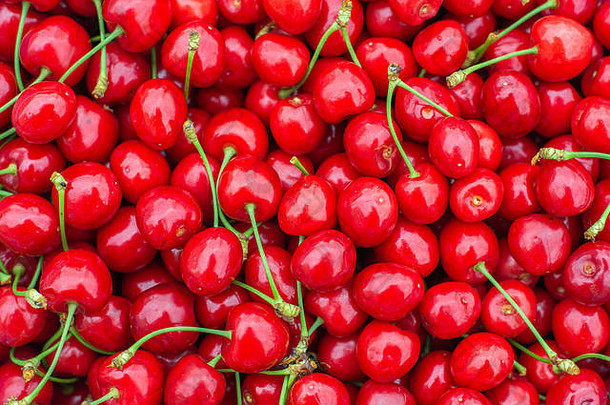 新鲜的甜蜜的红色的樱桃纹理成熟的甜蜜的樱桃夏天浆果花园收获新鲜的浆果收获甜蜜的樱桃成熟的红色的樱桃特写镜头