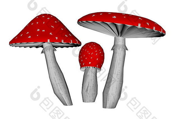 红色的安妮塔致幻剂蘑菇孤立的白色背景渲染