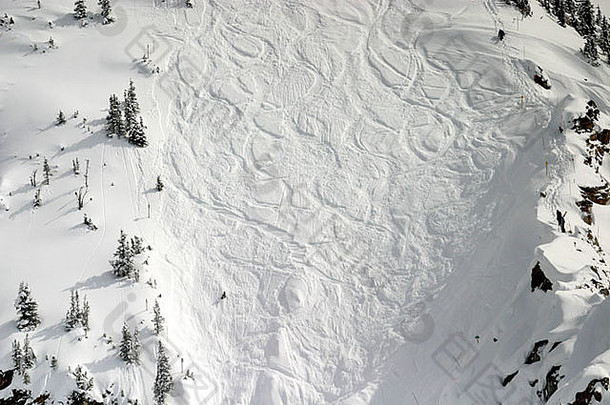 滑雪小径加拿大落基山脉