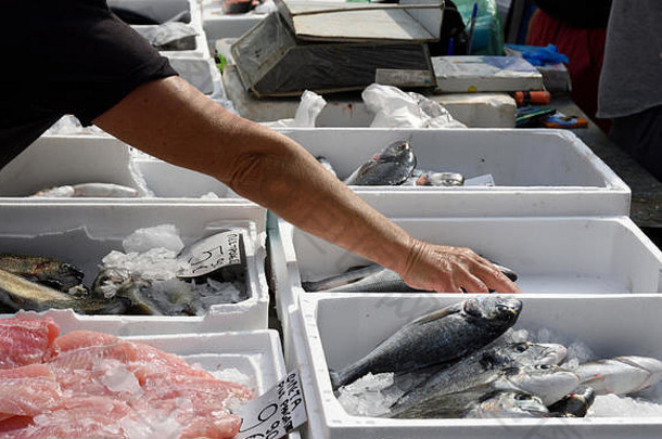 手抓住鱼表格容器排序<strong>鱼图片</strong>鱼市场北希腊