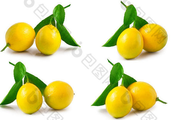 柠檬叶孤立的白色背景集集合