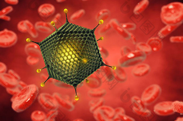 腺病毒红色的血细胞受污染的血