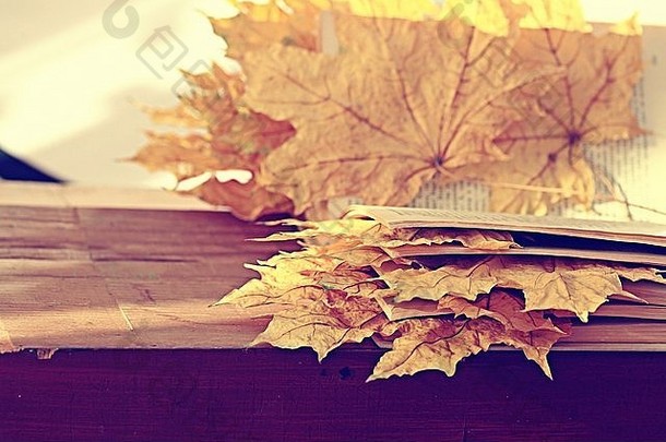 书页面黄色的叶子秋天概念