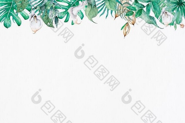 手画水彩热带横幅异国情调的叶子插图水平框架丛林树巴西时尚的完美的设计