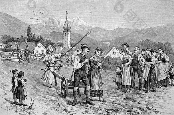 婚礼海关奥地利施第里尔常见的场耕作新娘夫妇hictorical插图