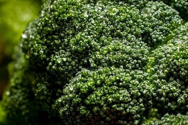 宏照片新鲜的绿色西兰花水滴背景健康的食物转基因生物免费的产品饮食营养新鲜的蔬菜素食主义者