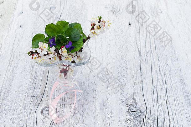 分支开花杏紫罗兰色的花花瓶玻璃模糊的白色木背景光健美的照片