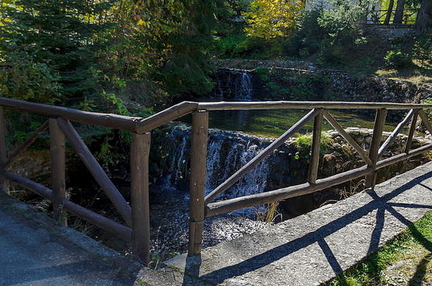 公园沙皇皇家比斯特里察梯田河瀑布不同的树值得尊敬的秋天的森林度假胜地波罗维茨