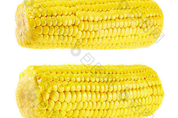 cornstick玉米结实的矮孤立的