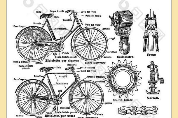 意大利自行车表格结束世纪意大利词典自行车部分意大利的名字