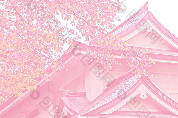 粉红色的语气樱花樱桃开花花树传统的建筑东京公园日本