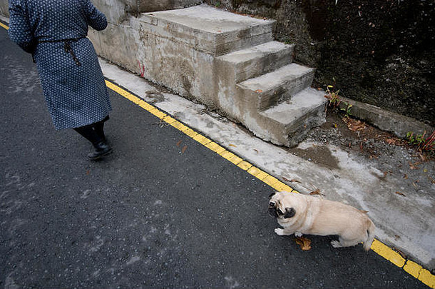 高级女人朋友狗走街道传统的村塞浦路斯