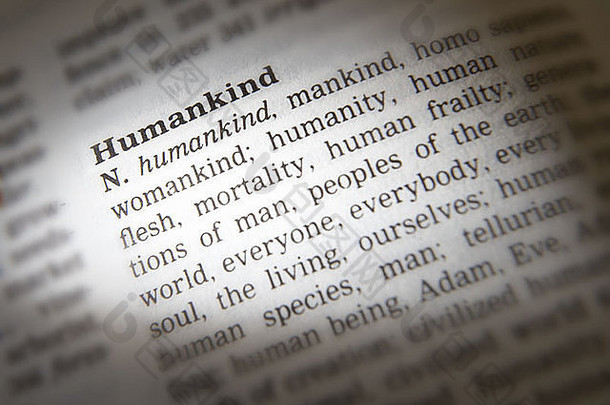同义词典页面显示定义词人类
