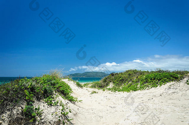 沙子路径蓝色的海洋背景美丽的夏天一天海滩圣诞老人卡塔琳娜巴西
