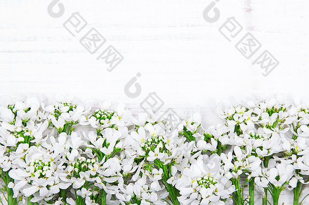 白色木制背景上的白色花朵框架