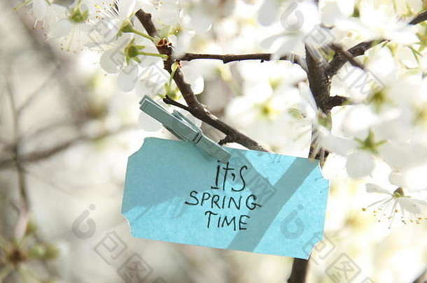 它的春天概念，标签和白色的花朵在春天阳光明媚的日子