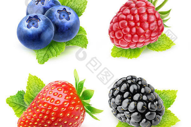 集合孤立的浆果薄荷蓝莓草莓树莓黑莓薄荷叶孤立的白色背景剪裁