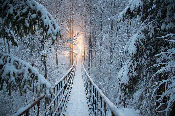 在冰雪覆盖的冬日森林里挂着一座索桥。在路的尽头，一盏灯亮了起来。道路两旁是雪松。从罗萨斯泰格桥在