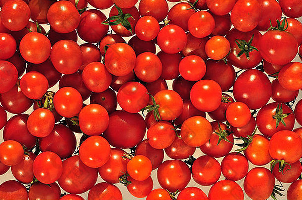 红色的樱桃番茄