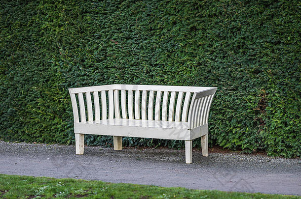 木维多利亚时代花园板凳上绿色对冲背景