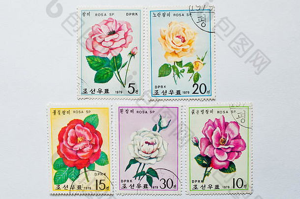 乌日哥罗德乌克兰约集合邮资邮票印刷北韩国朝鲜显示玫瑰花