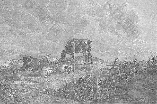 1849年，从牧<strong>场返</strong>回的牛。图文并茂的伦敦新闻