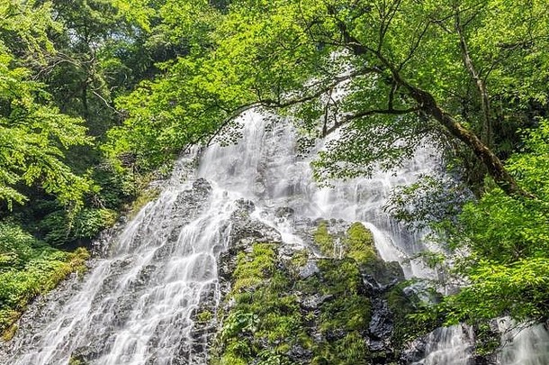 夏天视图美丽的龙草岳瀑布福井县日本