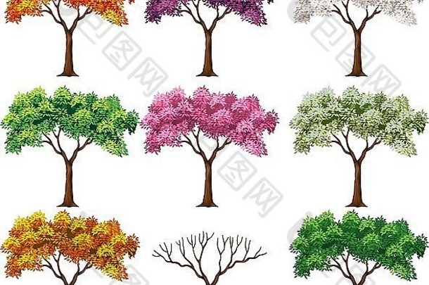 美丽多彩的树的插图