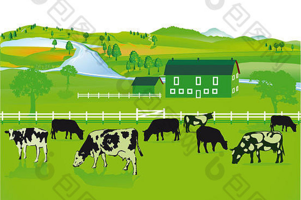 奶牛农业