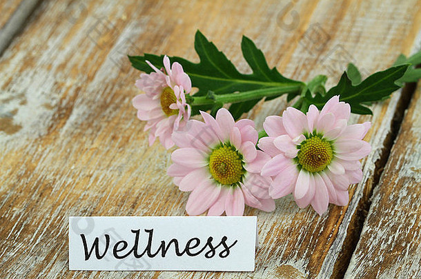 乡村木质表面印有粉色雏菊的健康卡