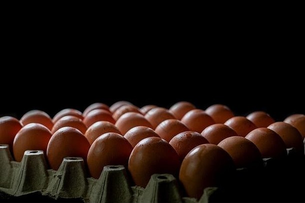 鸡蛋纸箱鸡蛋排行黑色的背景