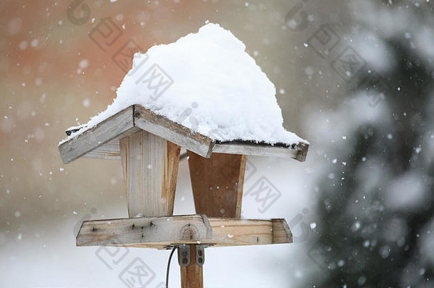 简易木制喂鸟器，雪天在冬季花园安装鸟舍