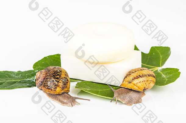 绿色叶子上的白色肥皂化妆品，由蜗牛黏液制成。非常健康和有机的产品。