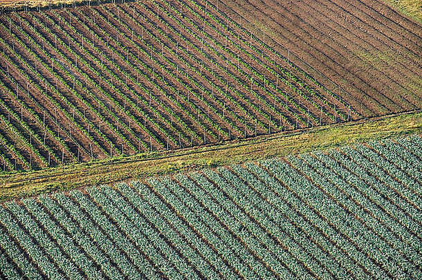 空中图片农业津巴布韦