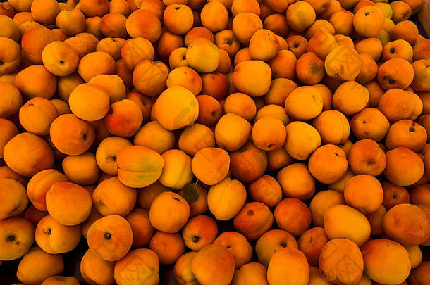在市场的摊位上等待购买的杏子？
