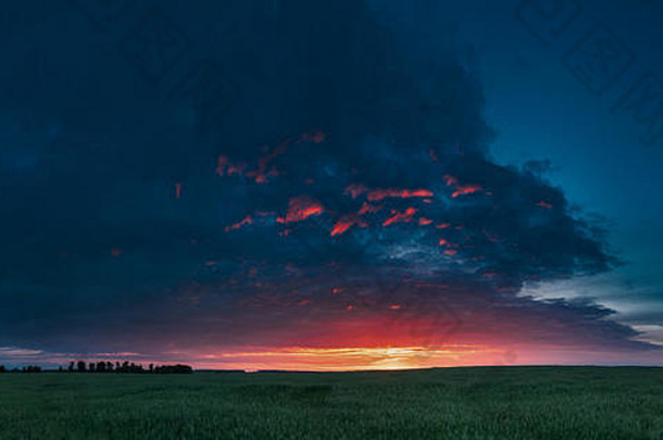 春野青燕麦种植园的全景，在黑暗的景色下，在日落或日出时，<strong>夏日</strong>五彩<strong>缤纷</strong>的天空。农业