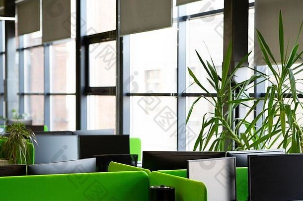 现代时尚办公室窗台上盆栽的活绿色植物