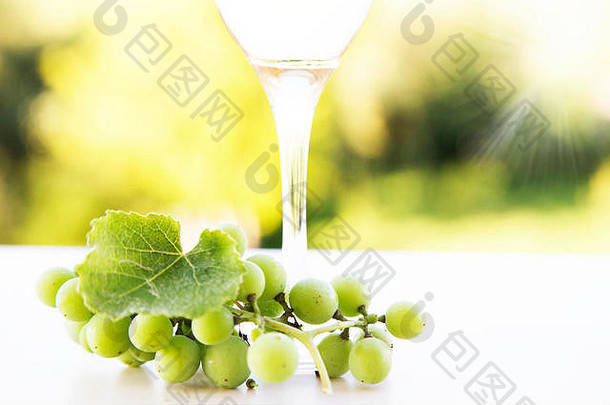 白色葡萄玻璃白色酒葡萄园