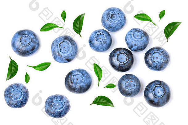 新鲜成熟的蓝莓，白色背景。顶视图。平铺模式